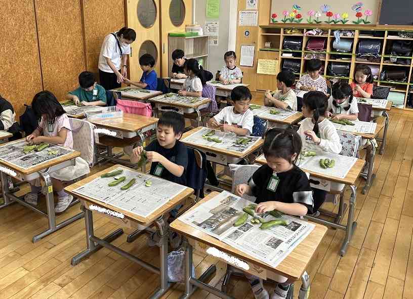 そら豆②